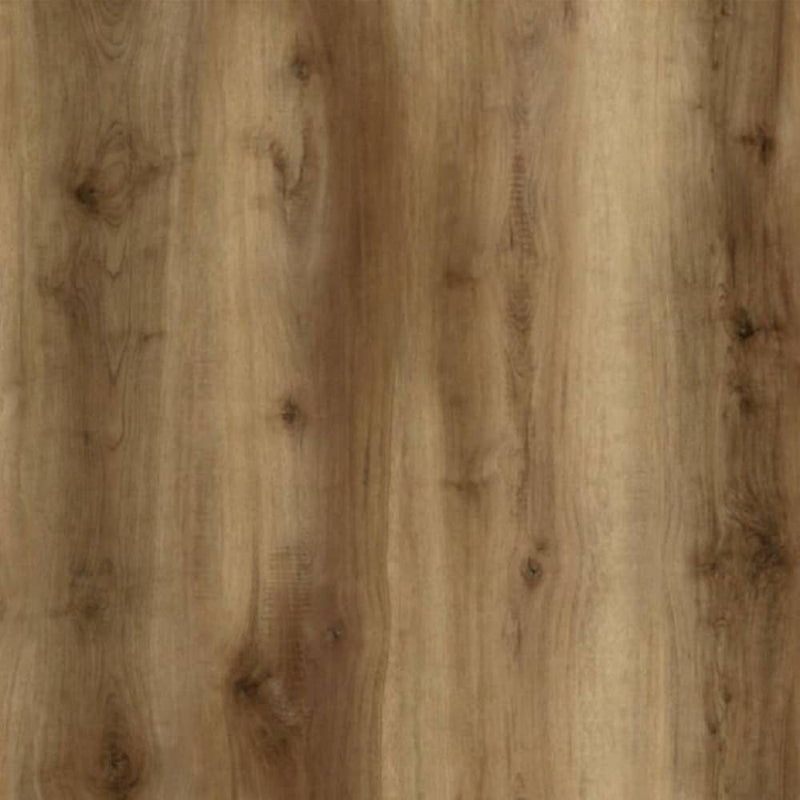 AquaShield SPC Waterproof Vinyl Wide Plank Flooring Pass a Grielle DS-113
