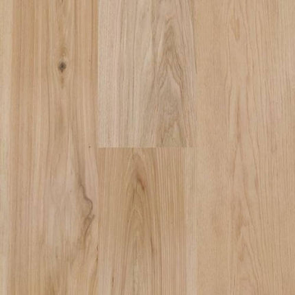 SAMPLE - 628114 - Next Floor