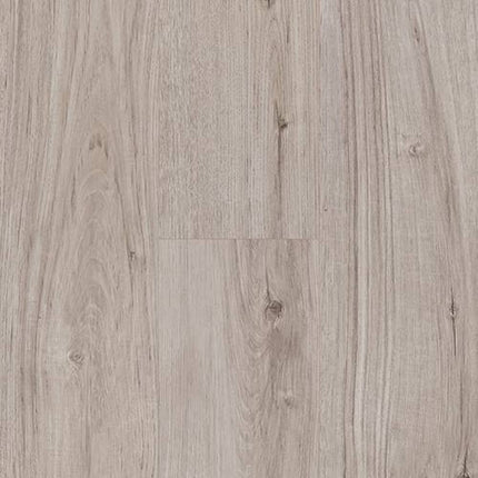 SAMPLE - 547007 - Next Floor