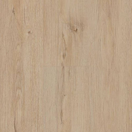 SAMPLE - 547009 - Next Floor