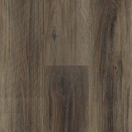 SAMPLE - 562003 - Next Floor
