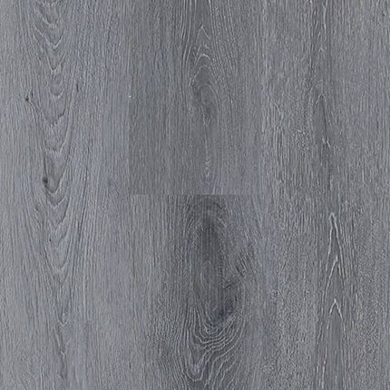 SAMPLE - 562026 - Next Floor