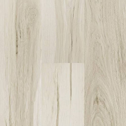 SAMPLE - 562008 - Next Floor