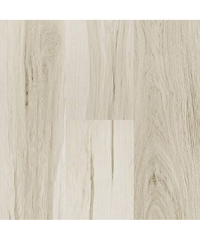 SAMPLE - 562008 - Next Floor