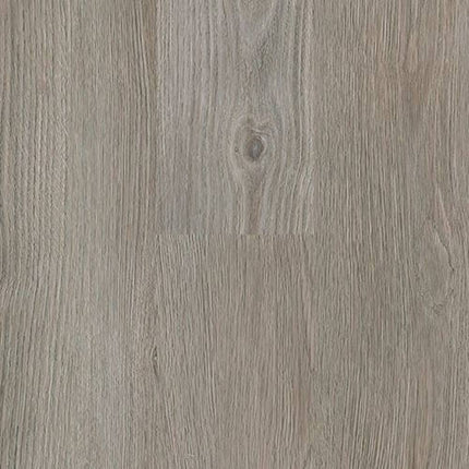 SAMPLE - 562013 - Next Floor