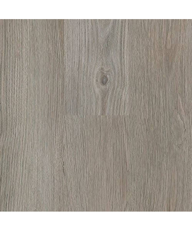 SAMPLE - 562013 - Next Floor