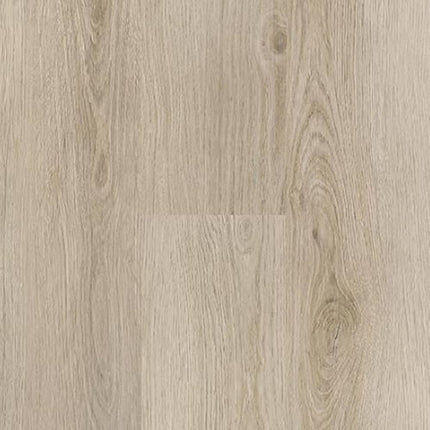 SAMPLE - 562011 - Next Floor