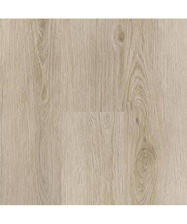 SAMPLE - 562011 - Next Floor