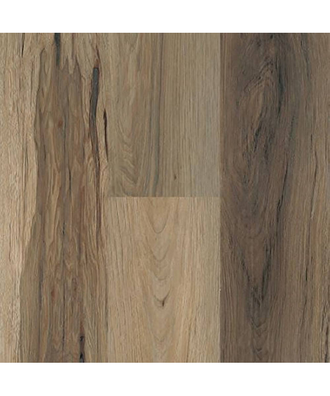 SAMPLE - 562009 - Next Floor