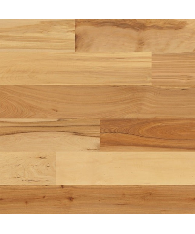 Sellersburg European Oak Engineered Hardwood Floor Natural