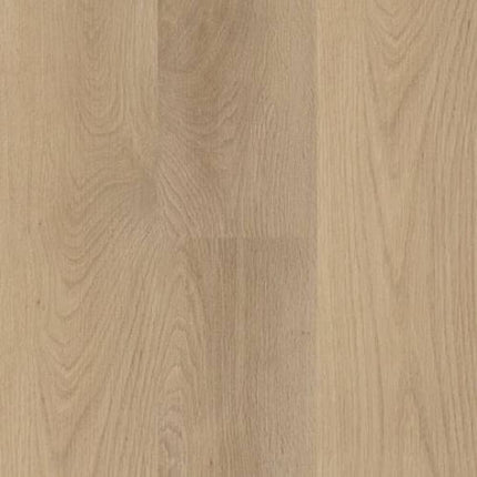 SAMPLE - 537123 - Next Floor