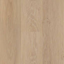 SAMPLE - 537126 - Next Floor