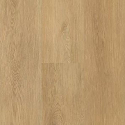 SAMPLE - 527103 - Next Floor