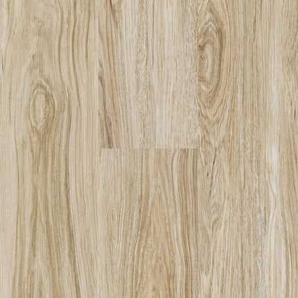 SAMPLE - 525193 - Next Floor