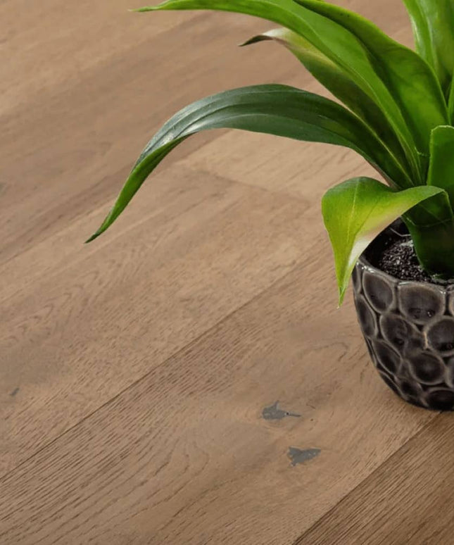 Brushed Patina White Oak Engineered Hardwood Floor Wide Plank Root BP-OAW7-ROO