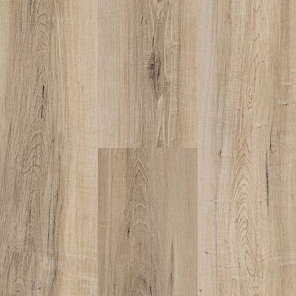 SAMPLE - 303003 - Next Floor